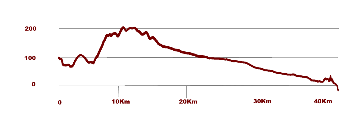Vlakte Marathon Route Profile